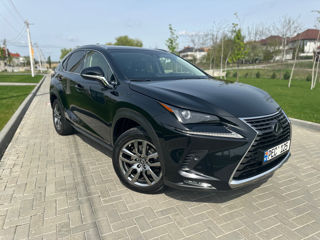 Lexus NX Series