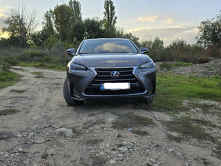 Lexus NX Series