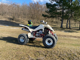 Suzuki LTZ 450  foto 2