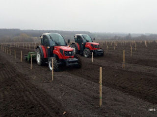 Schimba tractorul vechi pe un ArmaTrac 804.4 80 c.p. (pentru livada si vie) foto 4