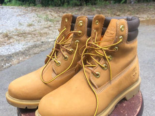 Timberland 6-inch