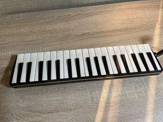 Hohner Melodica Piano 36 foto 1