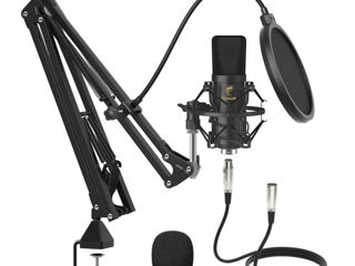 Новый студийный микрофон foto 1