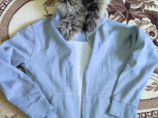 Fur Neck Zipper Hoodie