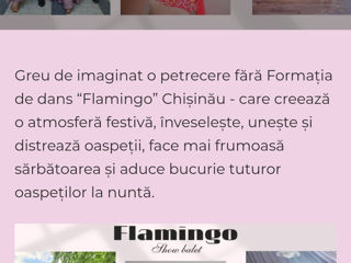 Dansatori la nunti Top in Md. flamingo-show.md foto 4