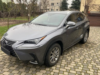 Lexus NX Series