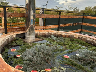 Inchiriere Vila cu piscina sauna si ciubar fierbinte In Balti foto 15