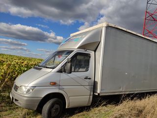 transport marfă hamali foto 4