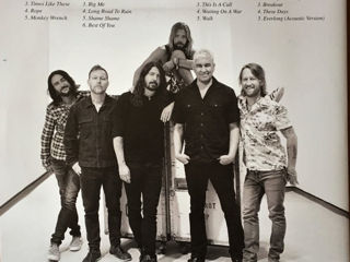 Foo Fighters - The Essential Vinyl foto 2
