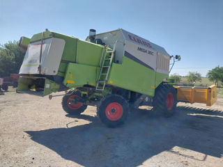 Claas Mega 360 Heder de porumb комбаин и жатка для кукурузы foto 6