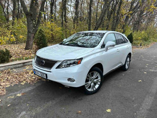 Lexus RX Series