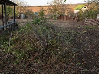 Уборка территорий, вывоз мусора, демонтаж. Evacuarea gunoiului foto 7