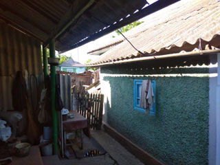 Gospodarie în satul Cajba, raionul Glodeni foto 10