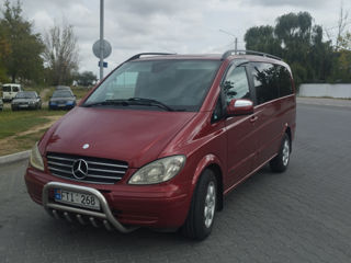 Mercedes Viano foto 5