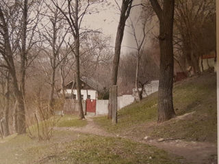 старый дом в парке