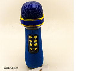 Microfon Karaoke Pentru Copii - "Karaonika MD-2" foto 11