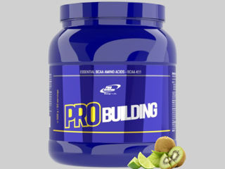Pro Building, 500 г, Киви-Лайм