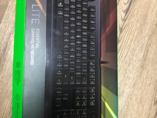 Razer cynosa lite