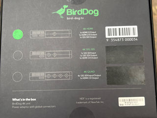 BirdDog 4k NDI foto 4