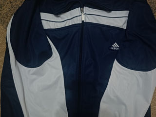 Vesta Adidas