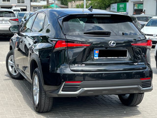 Lexus NX Series foto 5