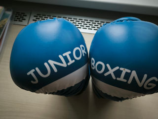 Mănuși de box,, Boxing Junior " foto 5