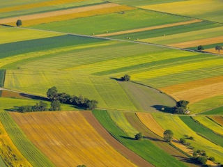 Vând 160 hectare, teren agricol