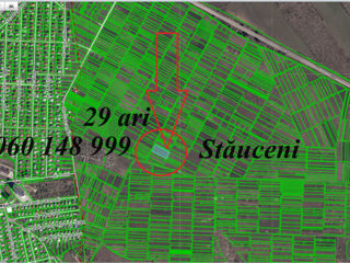 Teren de Vînzare, 29 ari Stauceni foto 2