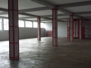 Se vinde OFICIU 200 m2 + Spațiu 2300 m2 pentru producție / depozitare ( Posibilă vânzare în bucati) foto 6