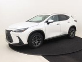 Lexus NX Series foto 5