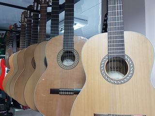 Новые поступления гитар акустических гитар в музыкальном магазине Pro-Arta !!! foto 10