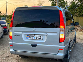 Mercedes Viano