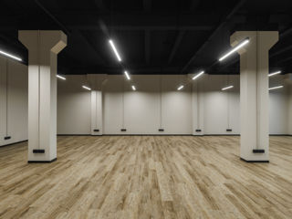 Vînzare spațiu comercial open-space, suprafața de 175.9m2  la Artima Business & Lifestyle! foto 11