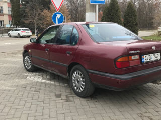 Nissan Primera foto 6