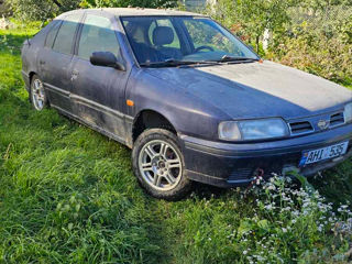 Nissan Primera foto 3