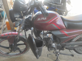 Alpha Moto CM110-2A фото 4
