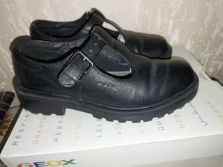 Pantofiori piele naturala Geox m 31