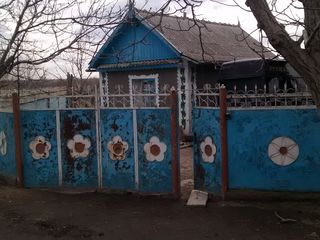 Продам дом .селе Незавертайловка, Слободзейского района. foto 4