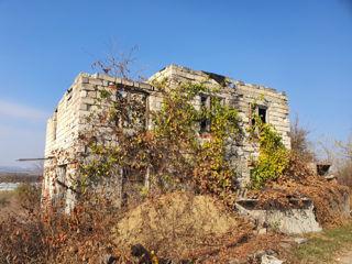 Teren, Chetrosu, 100 m pînă la traseu фото 6