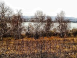 Teren cu priveliște spre lac. Suruceni, Î.P Struguraș, 15 ari foto 4