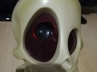 Игрушка Johnny The Skull (Джонни Скелетик) фото 4