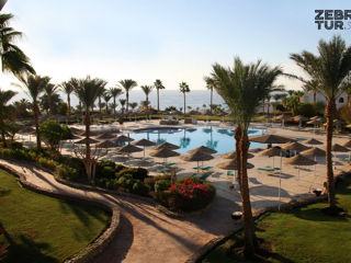 Egipt, Sharm El Sheikh - Domina Coral Bay Oasis 5*