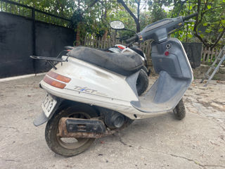 Honda Takt 24 foto 3