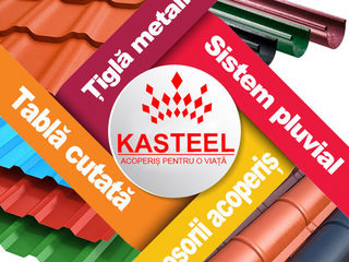 Tabla cutata Kasteel foto 15