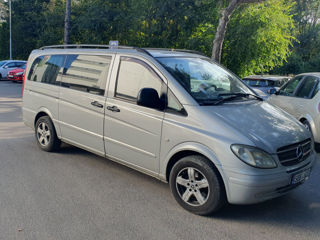 Mercedes Viano