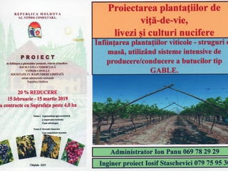 Proiectarea plantaţiilor de viţă-de-vie, livezi și culturi nucifere. foto 3