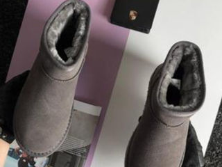 UGG în cutie  disponibile în stoc foto 4