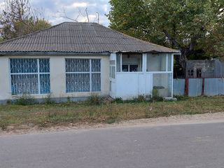 Casa in Gura Galbenei foto 2