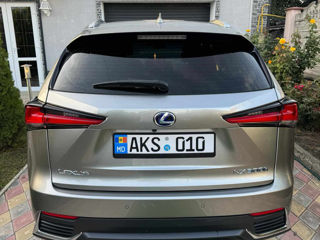 Lexus NX Series foto 5