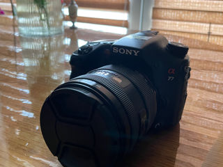 SONY Alpha77 foto 4